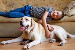 15 Dogs That Secretly Help You Achieve More Every
Day